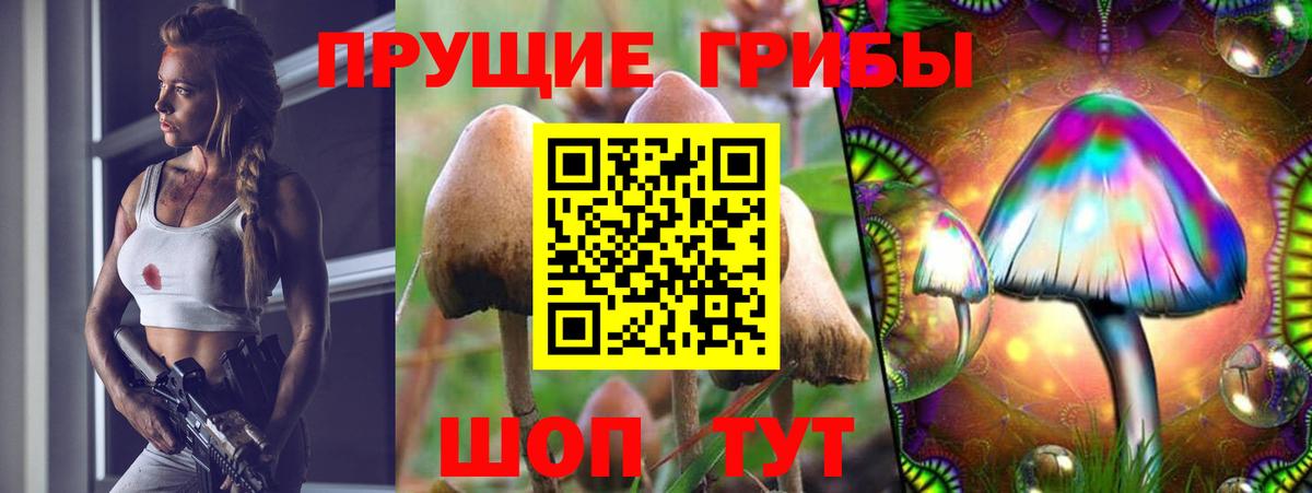 Урай  Псилоцибиновые грибы Psilocybe  Вход с VPN  наркошоп  Галлюциногенные грибы Psilocybe 