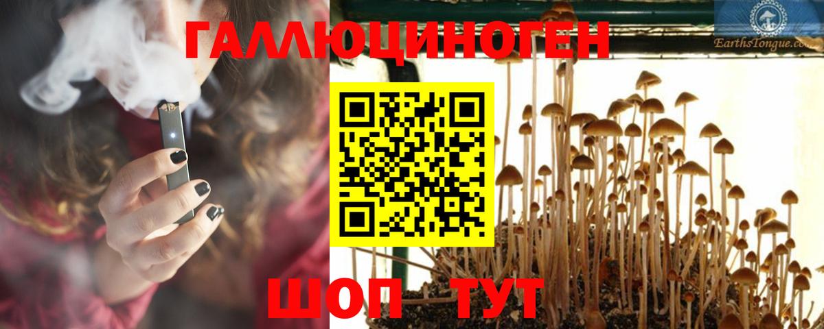 Псилоцибиновые грибы Psilocybine cubensis Урай